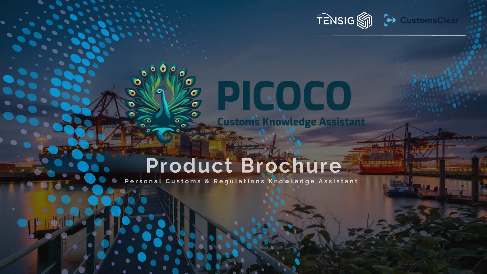 The brochure cover: a night port with cranes and stacked containers behind the product name and the line Personal Customs and Regulations Knowledge Assistant.