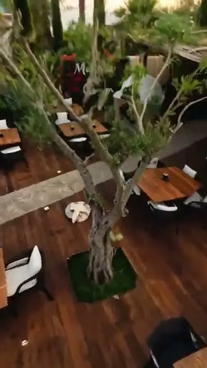 A frame from the showcase: the Mariposa terrace from above at dusk, laid tables on dark decking around a mature olive tree.